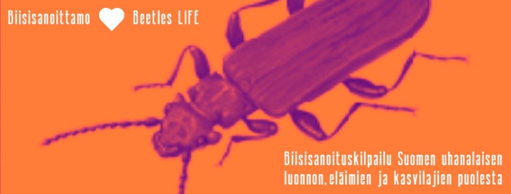 Banneri oranssilla taustalla. Teksit Biisisanoittamo loves Beetles life ja Biisisanoituskilpailu. Kuvassa keskellä liila kovakuoriainen.