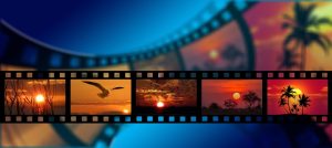 Colorful picture of a film roll. Sunset-themed photos are in the film squares, including palm trees, birds, and plants. The film roll goes horizontally from left to right in the picture. The background is blue.