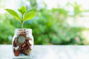 Plant growing from coins in a glass jar with blurred, green, natural background.