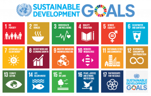 Seventeen sustainable development goals to change the world: no poverty; zero hunger; good health and well-being; quality education; gender equality; clean water and sanitation; affordable and clean energy; decent work and economic growth; industry, innovation and infrastrucutre; reduced inequalities; sustainable cities and communities; responsible consumption and production; climate action; life below water; life on land; peace, justice and strong institutions; partnerships for the goals.