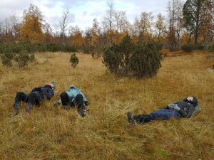 Three students lying in grass in a downy birch forest.