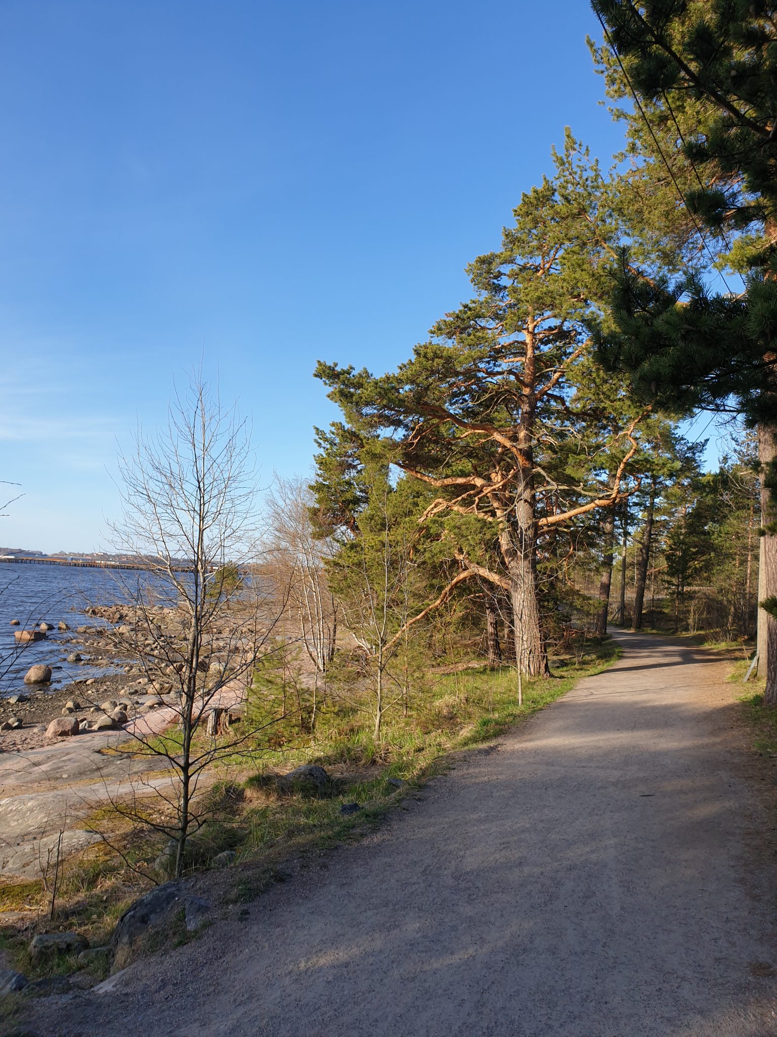 Landscape of a hiking trail with trees growing on each side of the trail. The trail is by the sea, which can be seen on the left side of the trail along with a rocky beach. The sky above is cloudless.