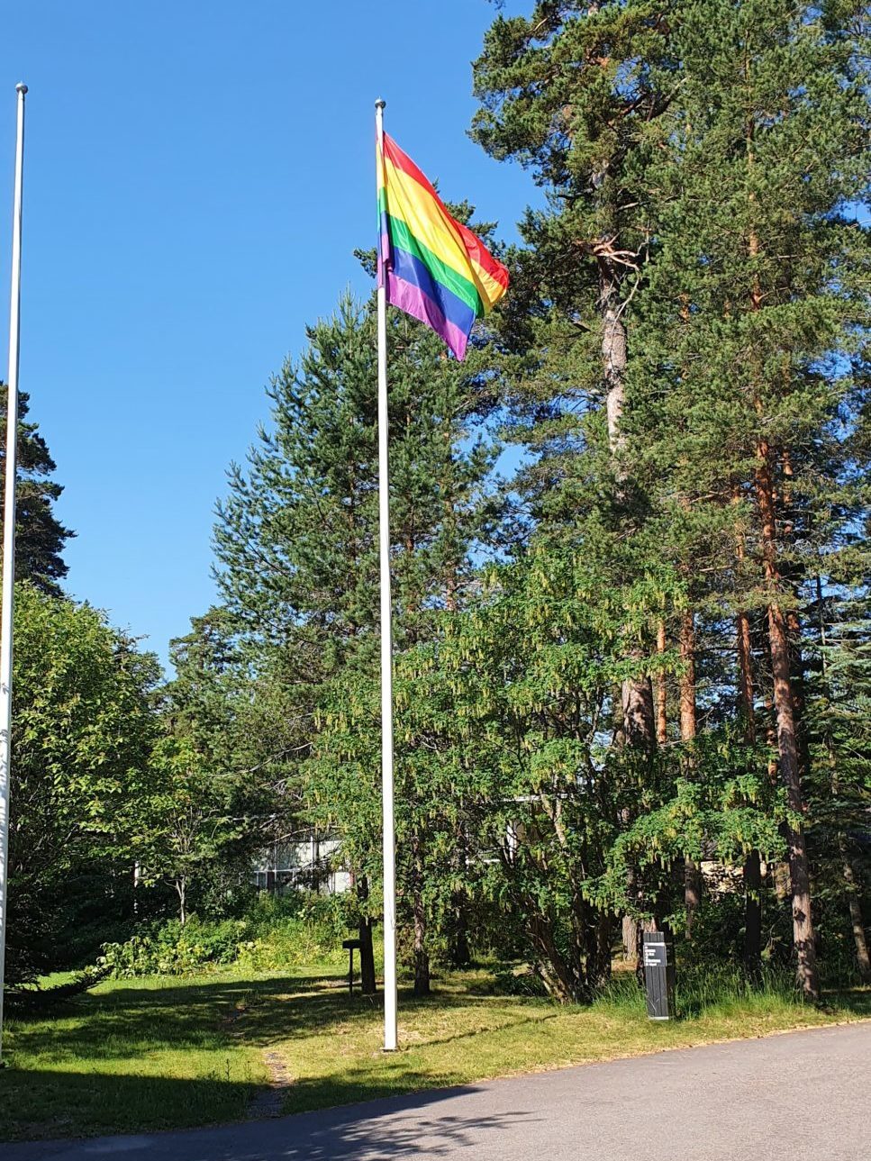 Havupuiden edessä lipputanko, jossa Pride-lippu.