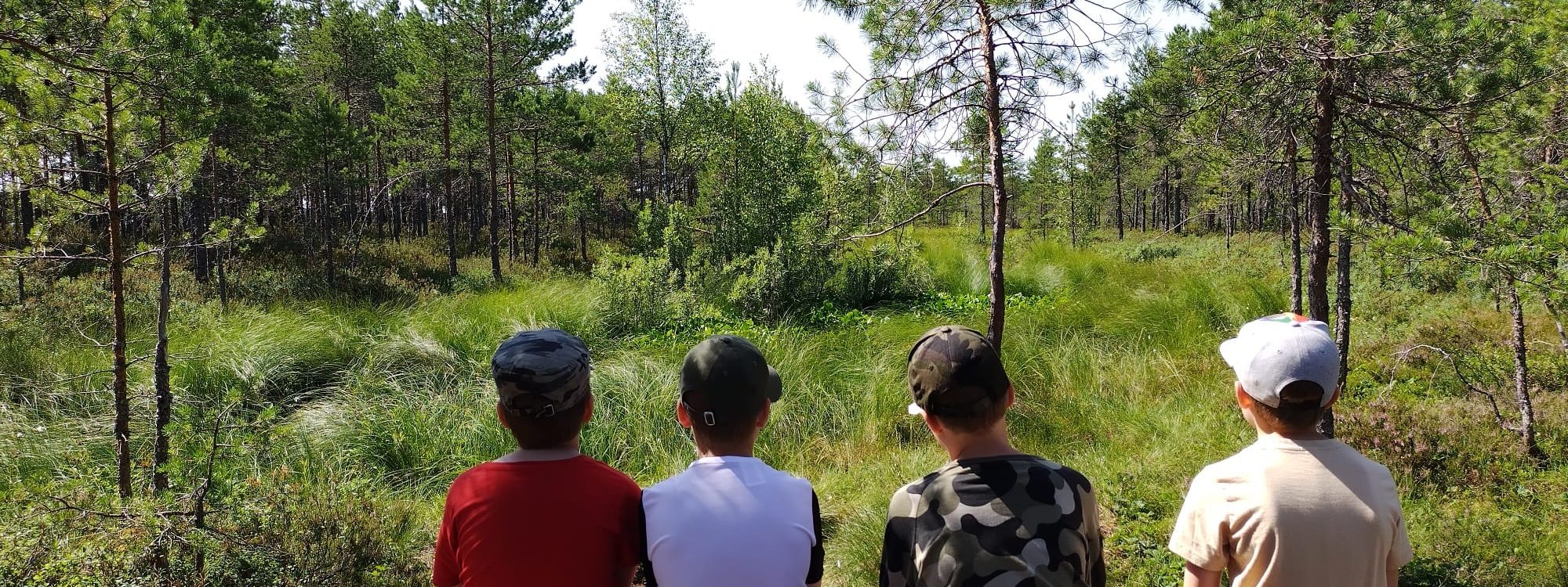 Neljä lasta tuijottaa metsään. Heistä näkyy selät.