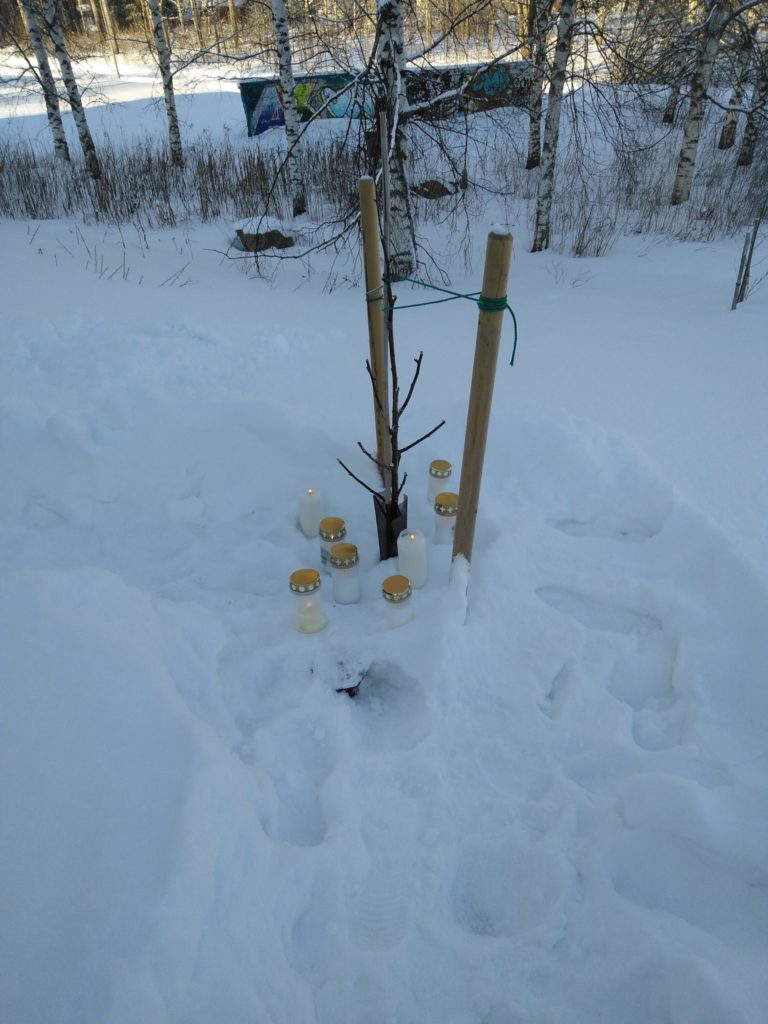 Lumessa olevan puun ympärille sytytettyjä muistokynttilöitä.