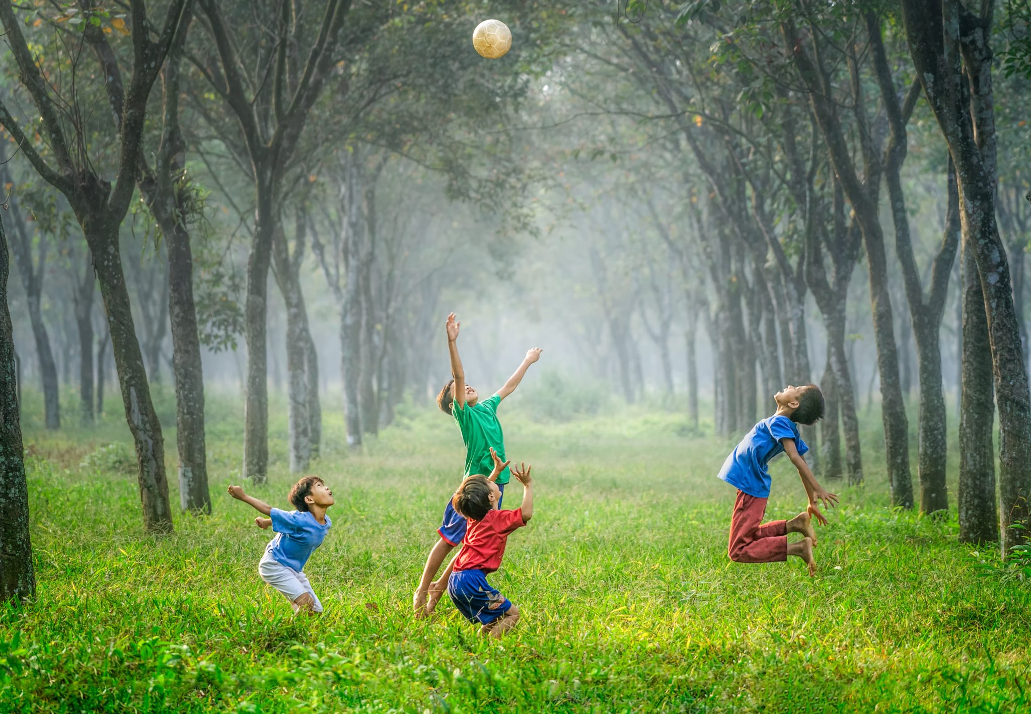 Lapsia heittämässä palloa vihreällä niityllä.