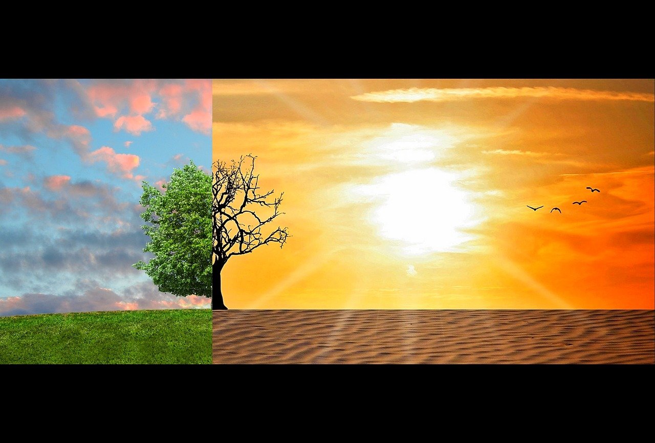 Kuvituskuvassa kuvan vasemmalla puolella taivas on pilvetön, nurmi vihreää ja kuvassa olevan puun vasen puoli tuuhealehtinen ja rehevää. Saman puun oikea puoli on täysin lehdetön ja ma sen alla on muuttunut hiekaksi. Oikealla taivas hohtaa keltaoranssina.