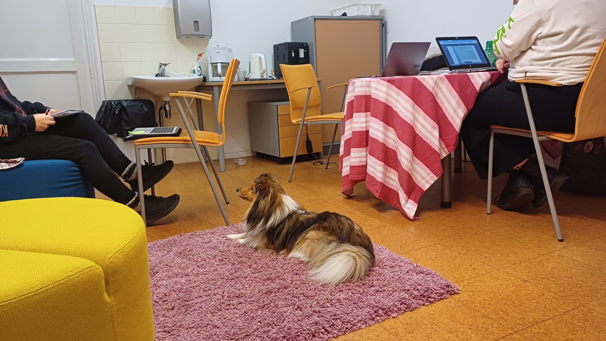 Rento työhetki kodikkaassa ympäristössä. Kaksi henkilöä työskentelee kannettavilla tietokoneilla viihtyisässä huoneessa, jossa pieni ruskea-valkoinen koira lepää vaaleanpunaisella matolla. Taustalla näkyy keittiön kodinkoneita ja punavalkoraidallinen pöytäliina tuo väriä tilaan.