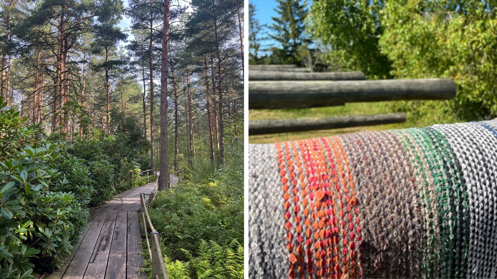 A wooden boardwalk leading through tall rhododendron bushes in Haaga Rhododendron Park in Helsinki. A colourful hand-woven rag rug hanging over a wooden washing rail in sunlight at a traditional outdoor washing place.