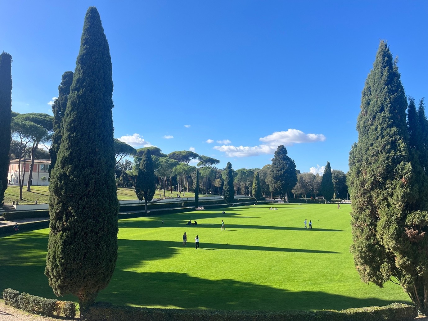 A wide grassy lawn bordered by tall umbrella pines in a formal park setting at Piazza di Siena in Rome.