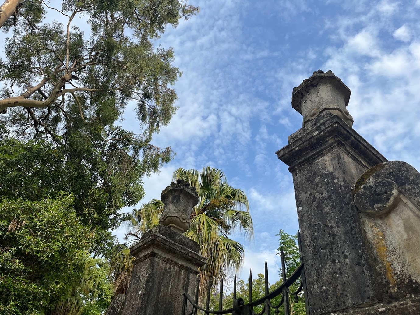An ornate iron gate set into a tall limestone archway at the Botanical Garden of the University of Coimbra.