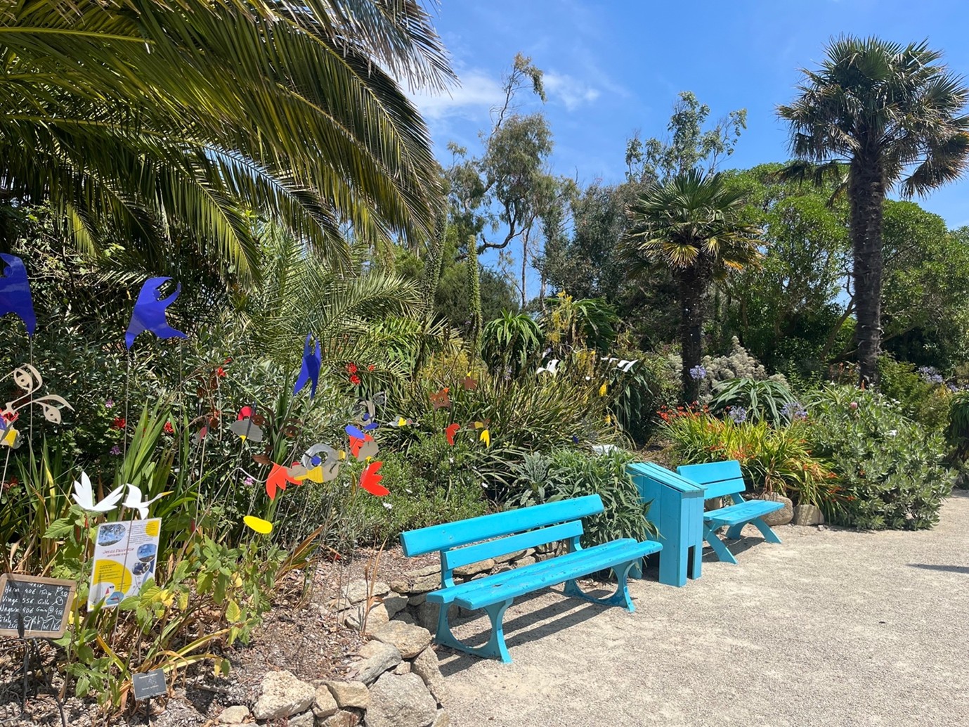 A small seating area surrounded by lush exotic plants, with a wooden bench overlooking dense greenery.