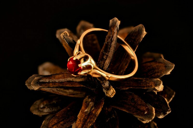 Kultainen sormus roikkuu kävyn siemenen päällä. Kuva: Andrey Soldatov, Unsplash