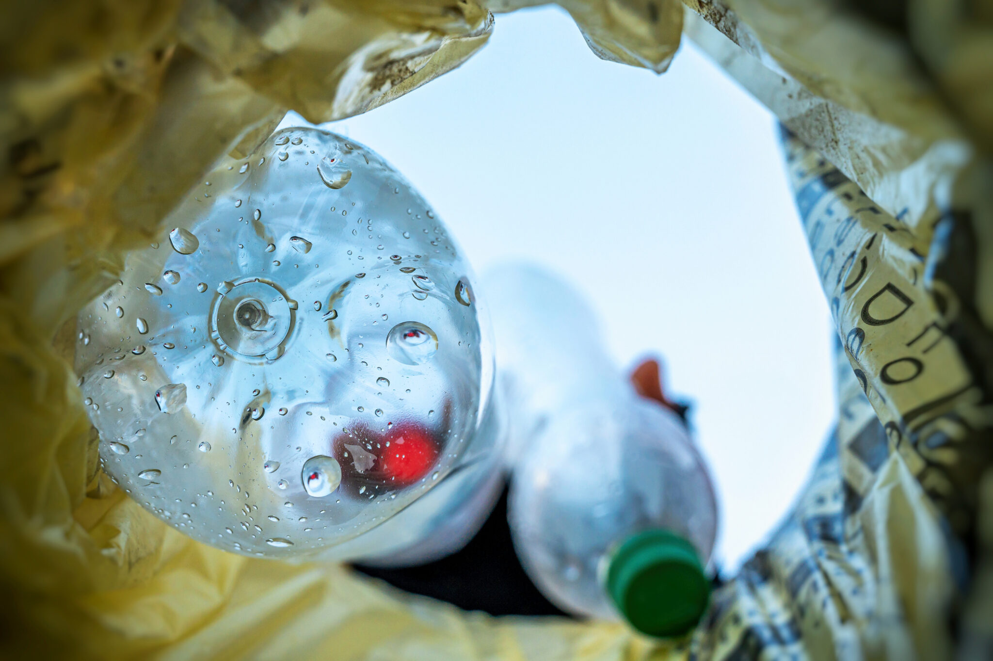 “Näkymä roskapussin sisältä ylöspäin: tyhjiä muovipulloja, joissa on vesipisaroita, ja vaalea taivas taustalla.