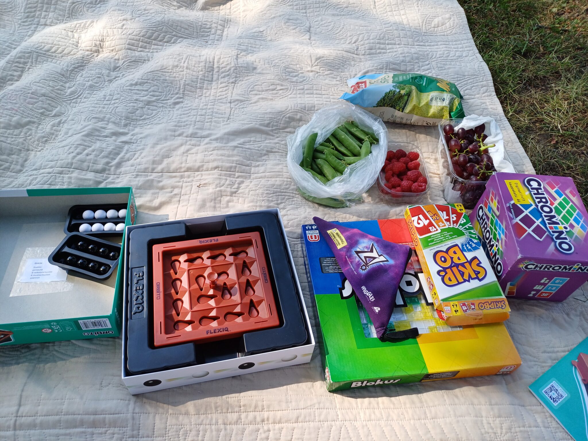 Nurmikolla piknik-viltti, jonka päällä herneitä, vadelmia ja viinirypäleitä, sekä lautapelejä kuten Orbito, Blokus ja Chromino. 