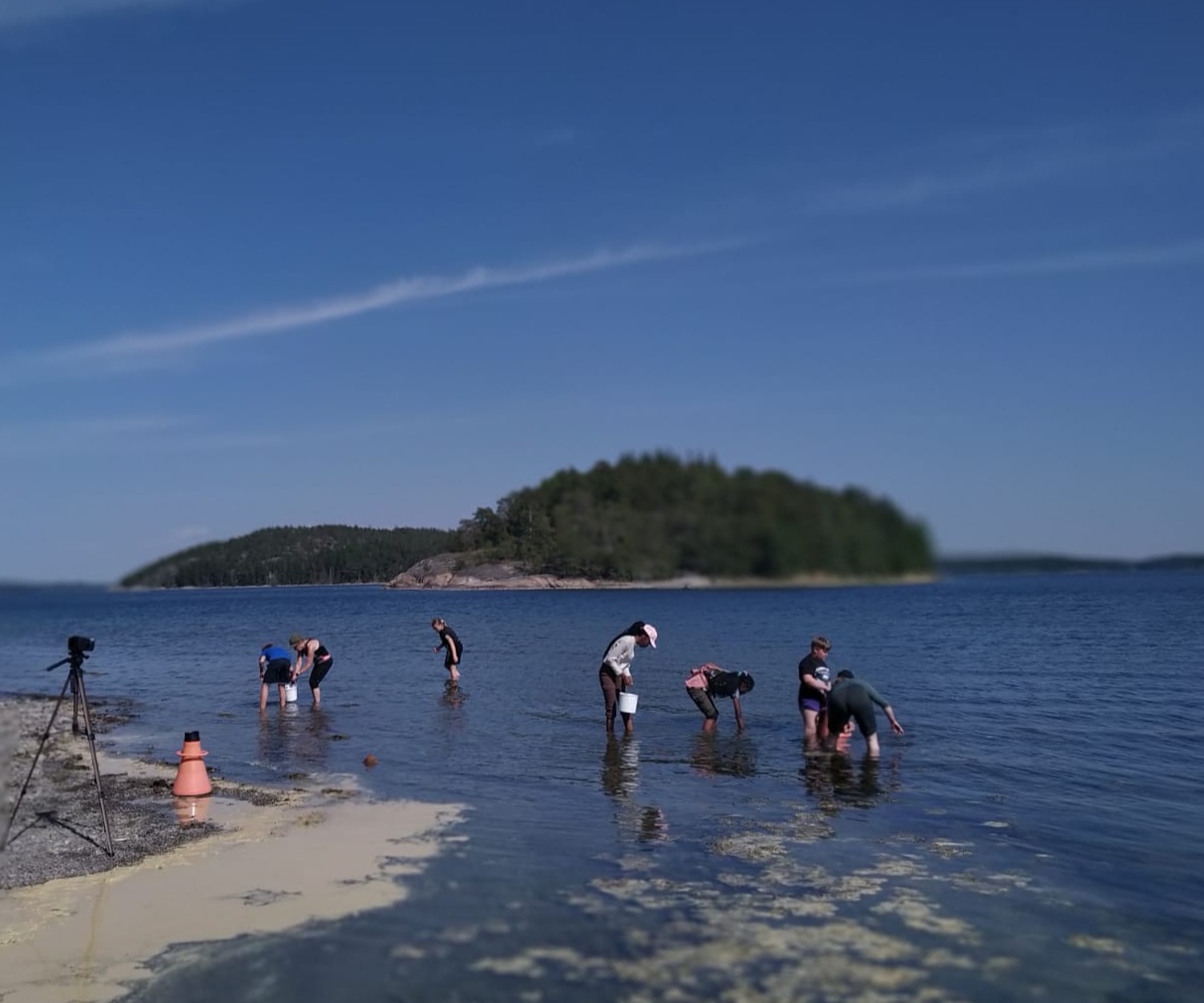 Seven people collecting samples from the sea, near the sea shore.
