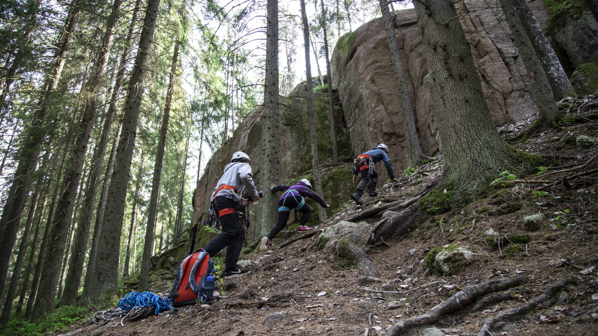 Metsämaisema, rinne, jossa kolme kiipeilyvarusteista henkilöä.