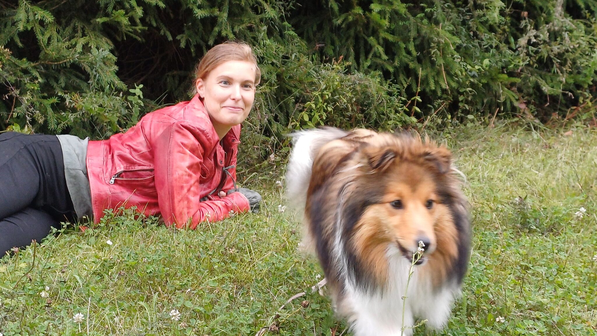 Pieni koira lähestyy kameraa. Ohjaaja-lehtori tarkkailee koiraa taka-alalla. 