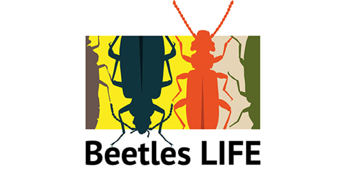 Beetles-life-hankkeen logo.