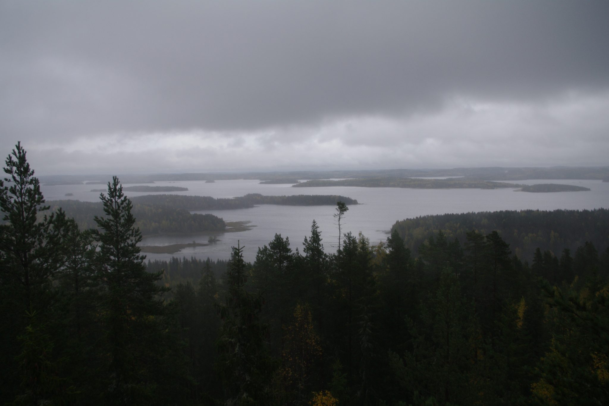 Suminen maisema metsästä ja järvestä Jyväskylän Stuven pisteeltä.