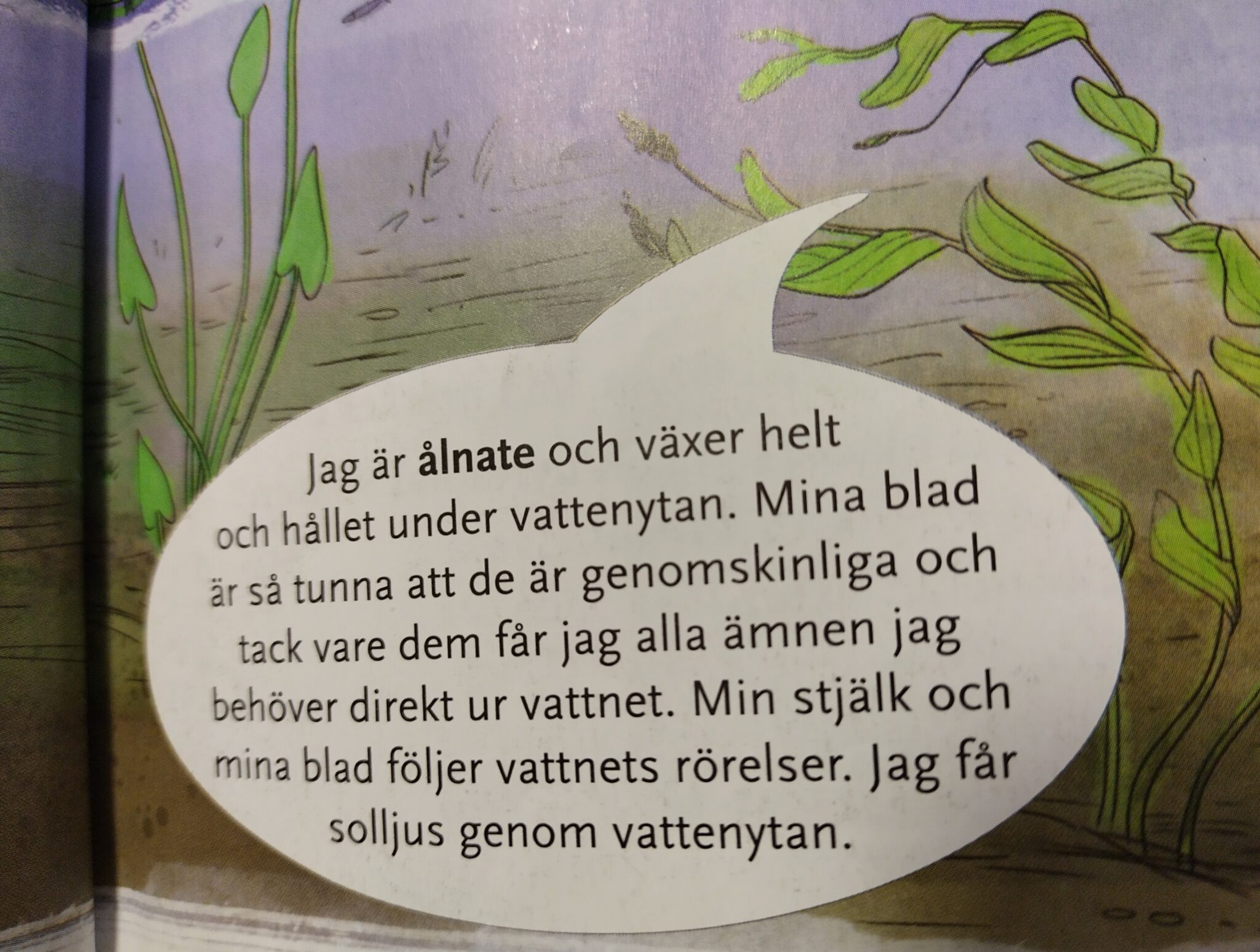 Kuva oppikirjan sivusta, jossa kuvitettuja vesikasveja ja suuri puhekupla, jonka sisällä tekstiä.