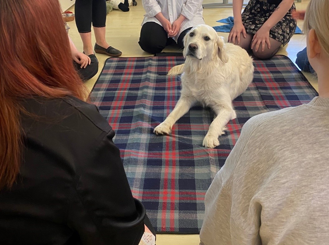 Koira makaa viltin päällä ja koiran ympärillä istuu opiskelijoita.