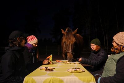 Ulkotilaan katetun pöydän äärellä on hevonen ja neljä ihmistä. kaikilla on edessään lautasellinen hedelmiä, joita hevonen tutkii.