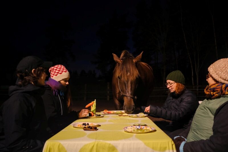 Ulkotilaan katetun pöydän äärellä on hevonen ja neljä ihmistä. kaikilla on edessään lautasellinen hedelmiä, joita hevonen tutkii.