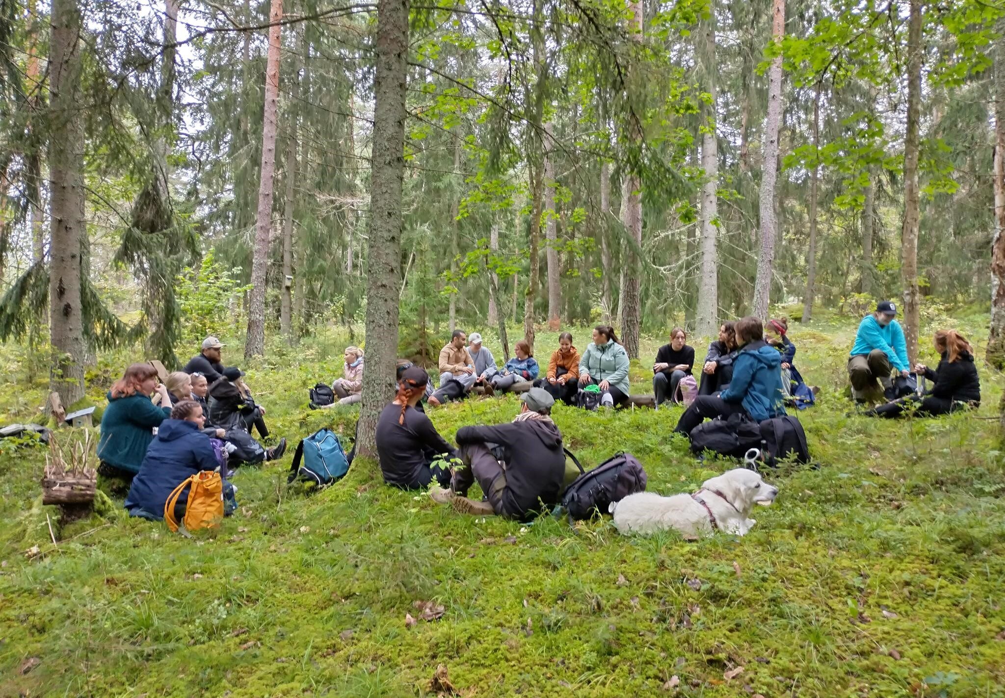 Parinkymmenen opiskelijan ryhmä istuu ringissä metsän keskellä.