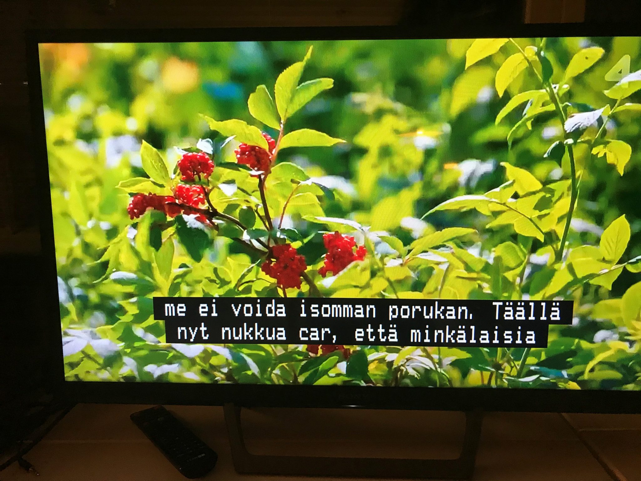 Lähikuva koristepensaasta. Ruututekstinä ”me ei voida isomman porukan. Täällä nyt nukkua car, että minkälaisia”