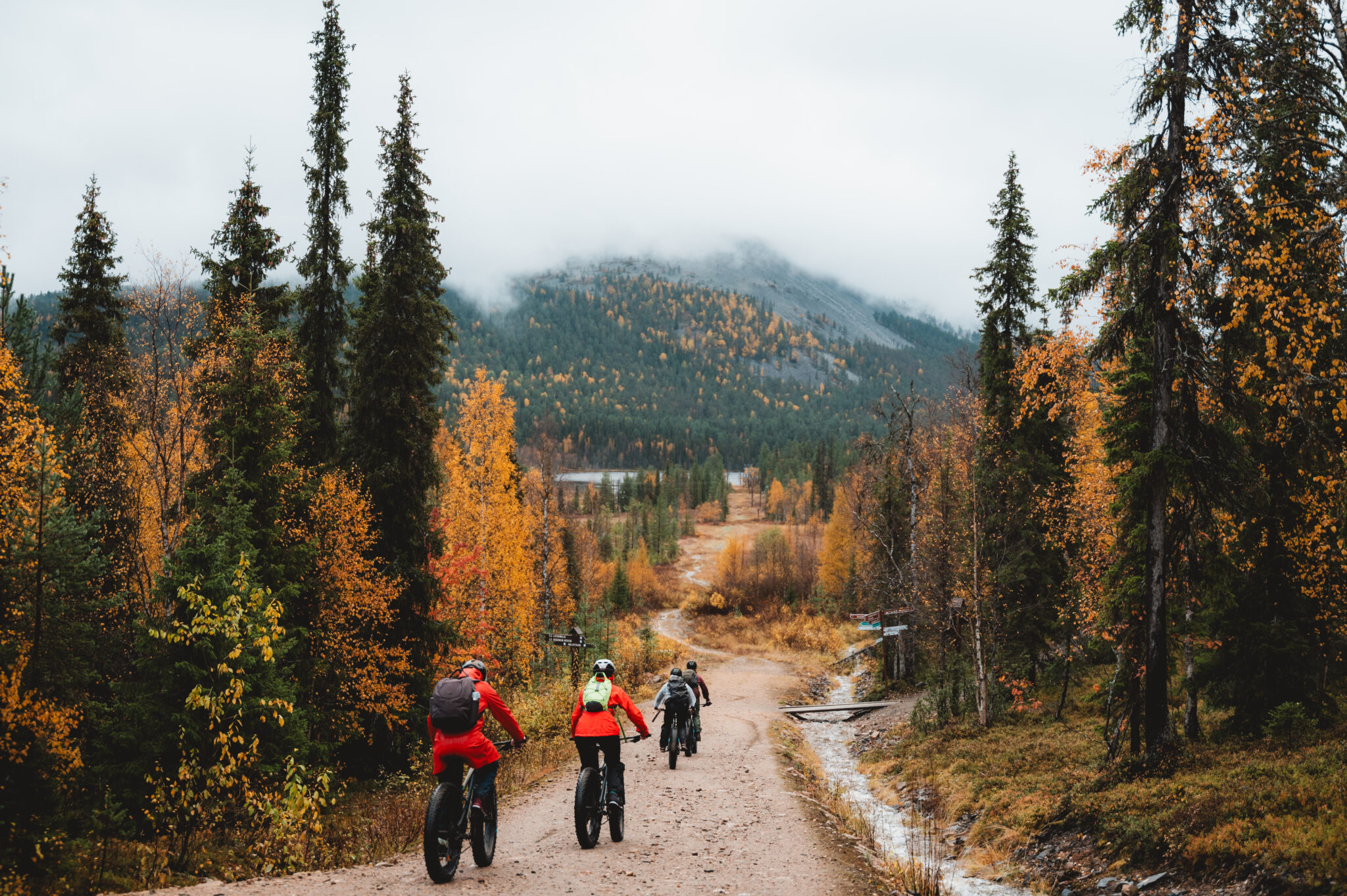 Humak students fatbiking in Lapland during the autumn. The landscape is colorful and the fjells of Lapland are covered by low-hanging clouds.