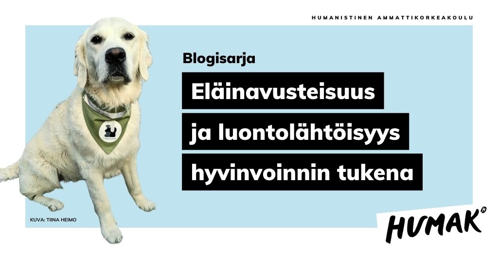 Banneri Eläinavusteisuus ja luontoläheisyys hyvinvoinnin tukena -blogisarjalle. Kuvassa taustasta irroitettu kuva kultaisestanoutajasta, joka katsoo kameraan. Koiralla on kaulassa huivi, joka kertoo apukoiran tehtävästä.