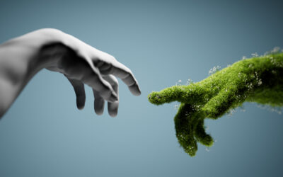 Green sustainability renewable resources, ESG, environmental, social responsibility