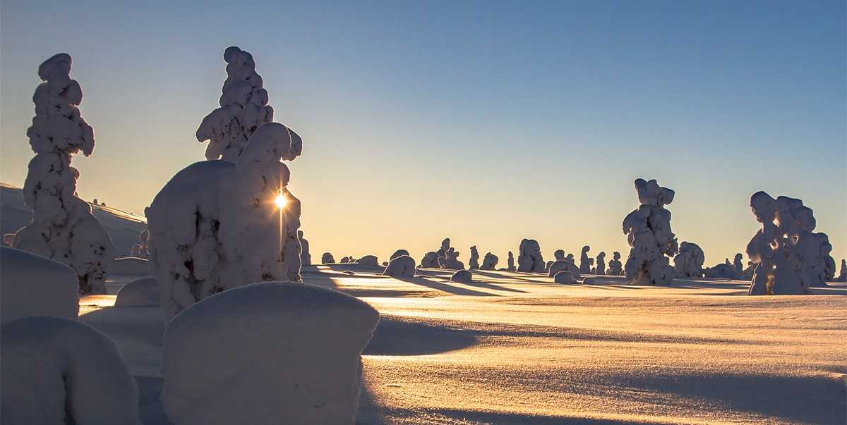 Finnish winter