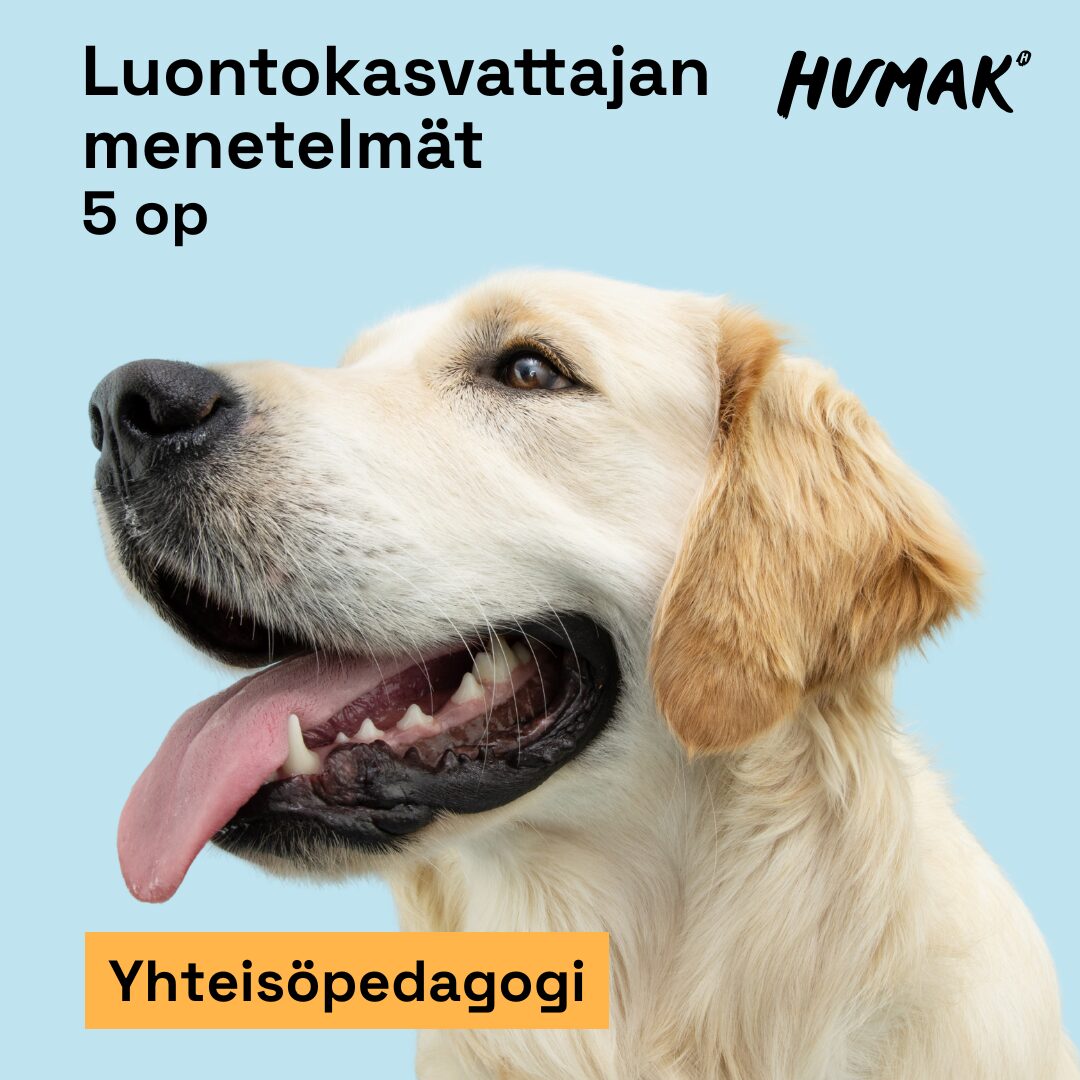 Labradorinnoutaja läähättää. Teksteinä luontokasvattajan menetelmät 5 op, Humakin logo ja sana yhteisöpedagogi.