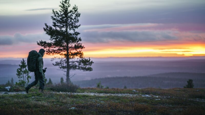 Retkeilijä kantaa rinkkaa ja kävelee tunturimaiseman yli, etualalla yksinäinen mänty ja taustalla sumuiset vaarat sekä värikäs auringonlaskun taivas