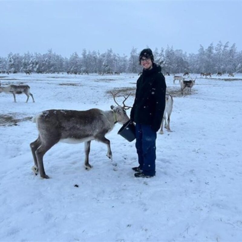 A photo of Hugo in Lapland, smiling and wearing winter clothes. He holds a bucket filled with reindeer food, and one reindeer eats from it. There are snow-covered trees and many reindeer in the background.